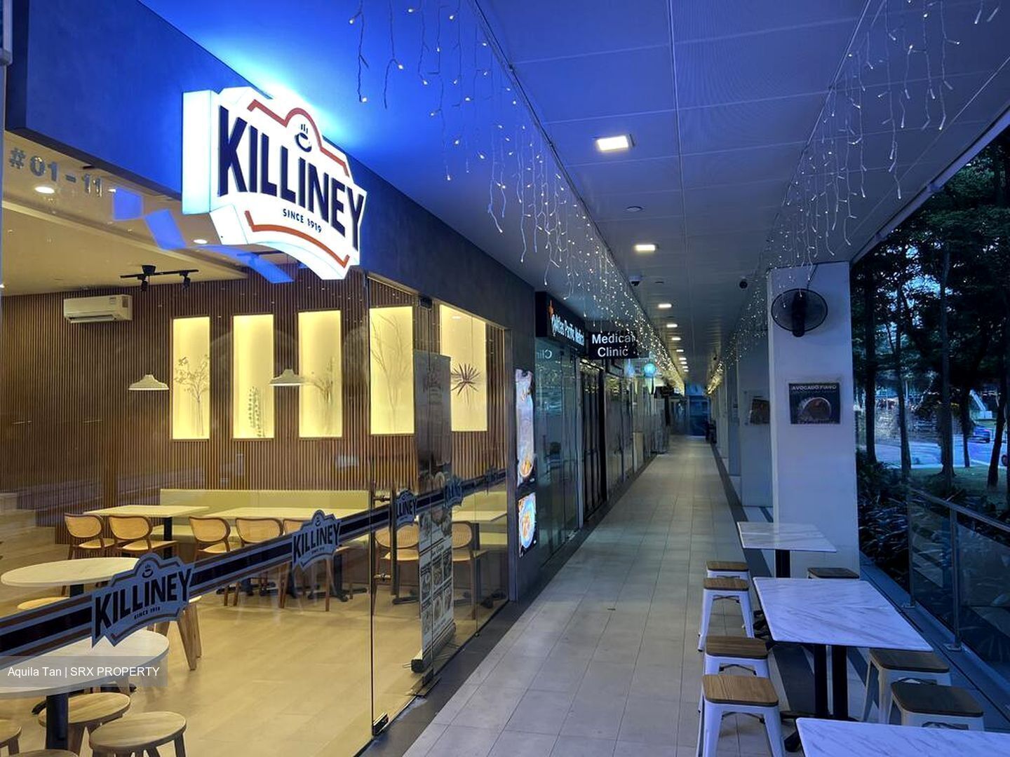 Loft @ Nathan (D10), Apartment #479140071